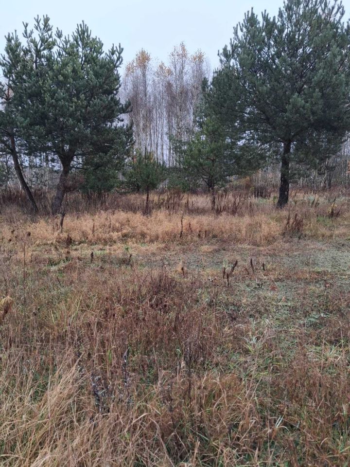 Działka budowlana Muszaki. Zdjęcie 4