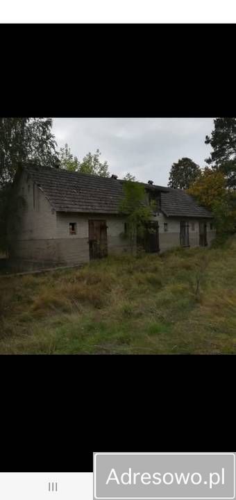 Działka siedliskowa Dąbrowy. Zdjęcie 3