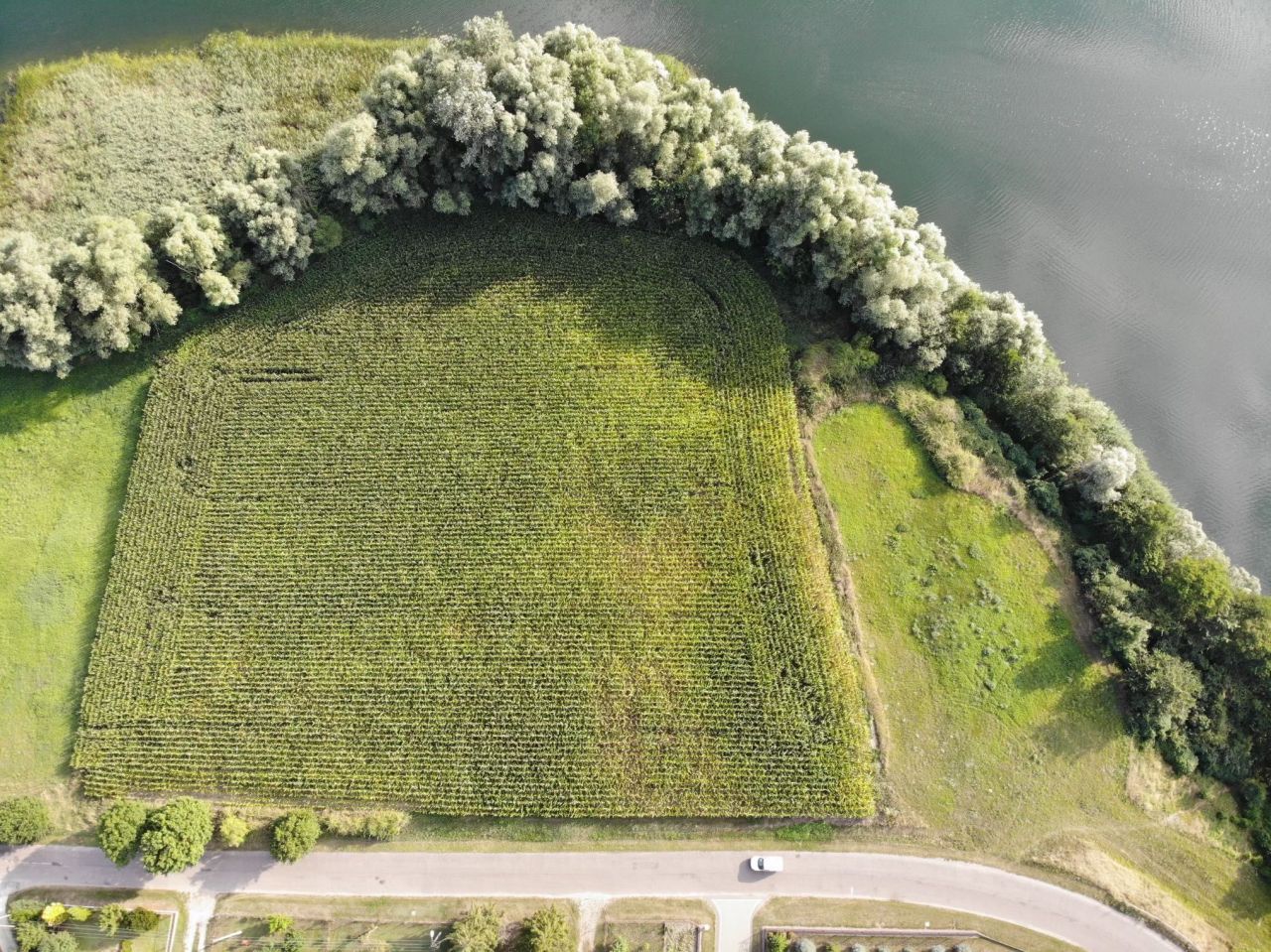 Działka budowlana Ostrowite. Zdjęcie 3