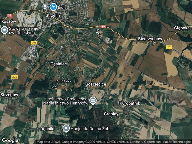 Działka budowlana Gościęcice, gosciecice sr. Zdjęcie 1