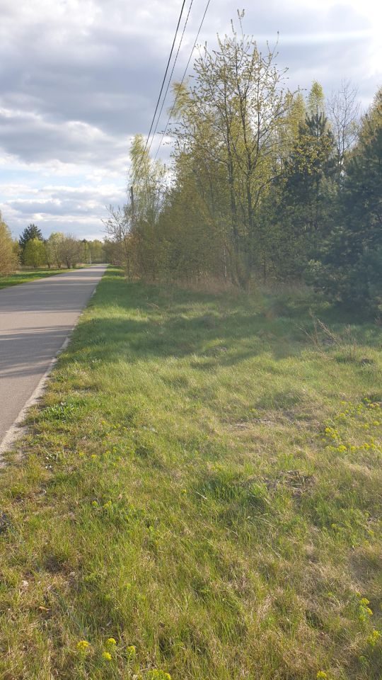 Działka siedliskowa Tatar. Zdjęcie 2