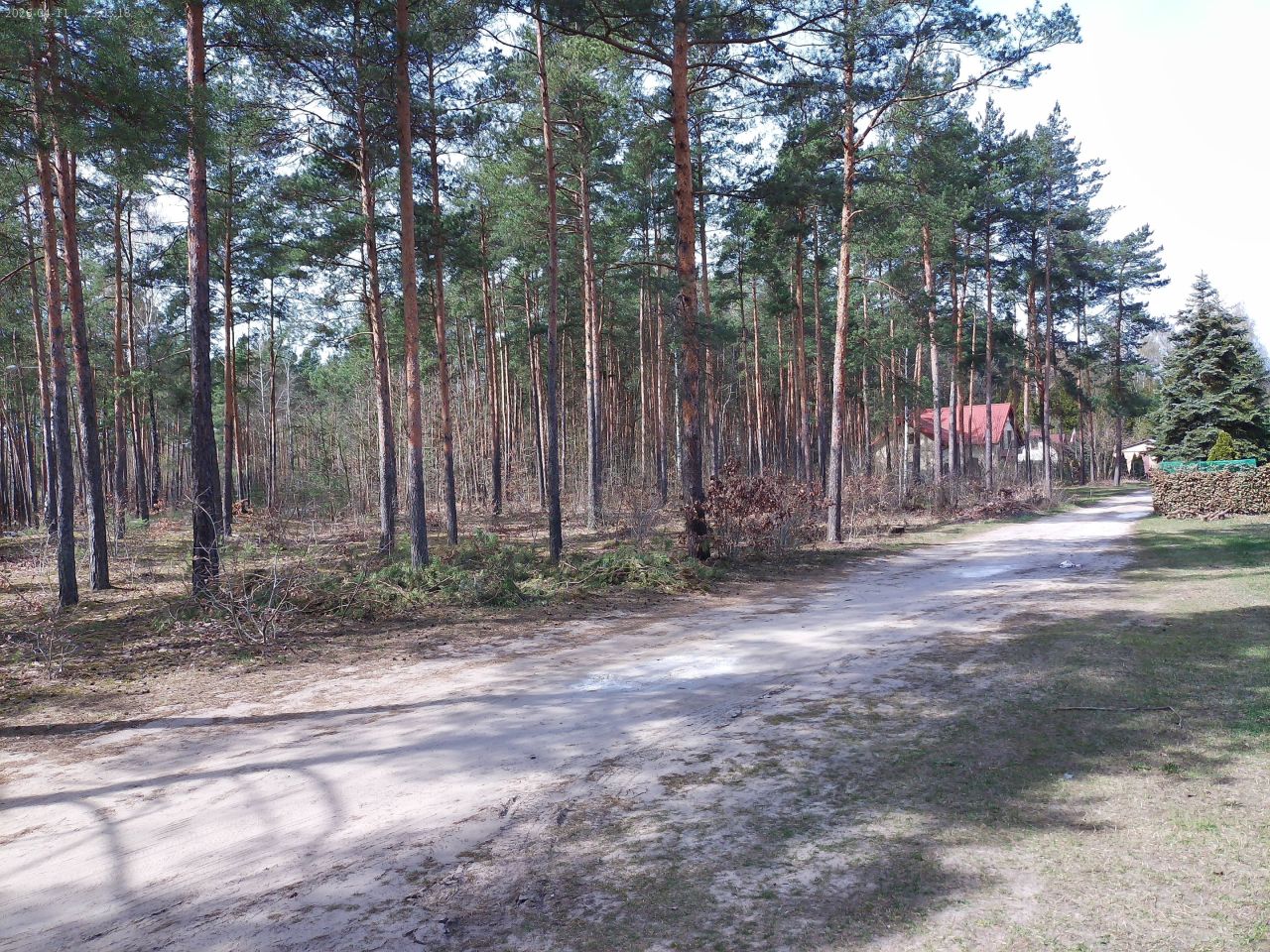 Działka budowlana Marynino. Zdjęcie 21