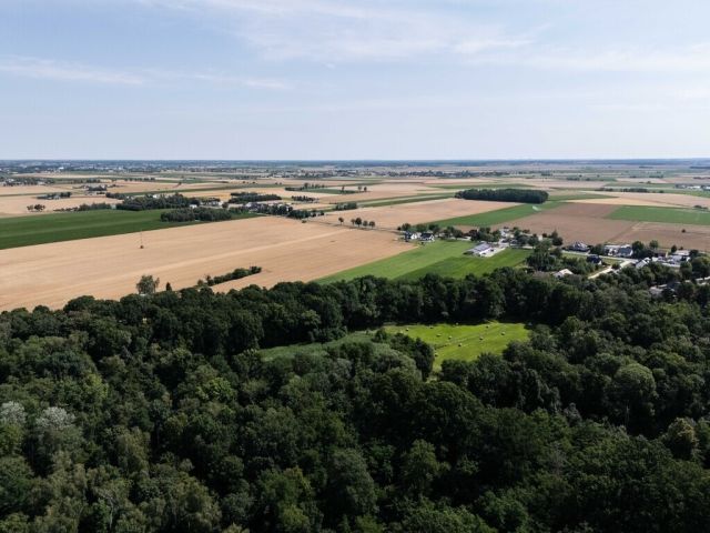Działka inwestycyjna Szewce, ul. Bukowska. Zdjęcie 7