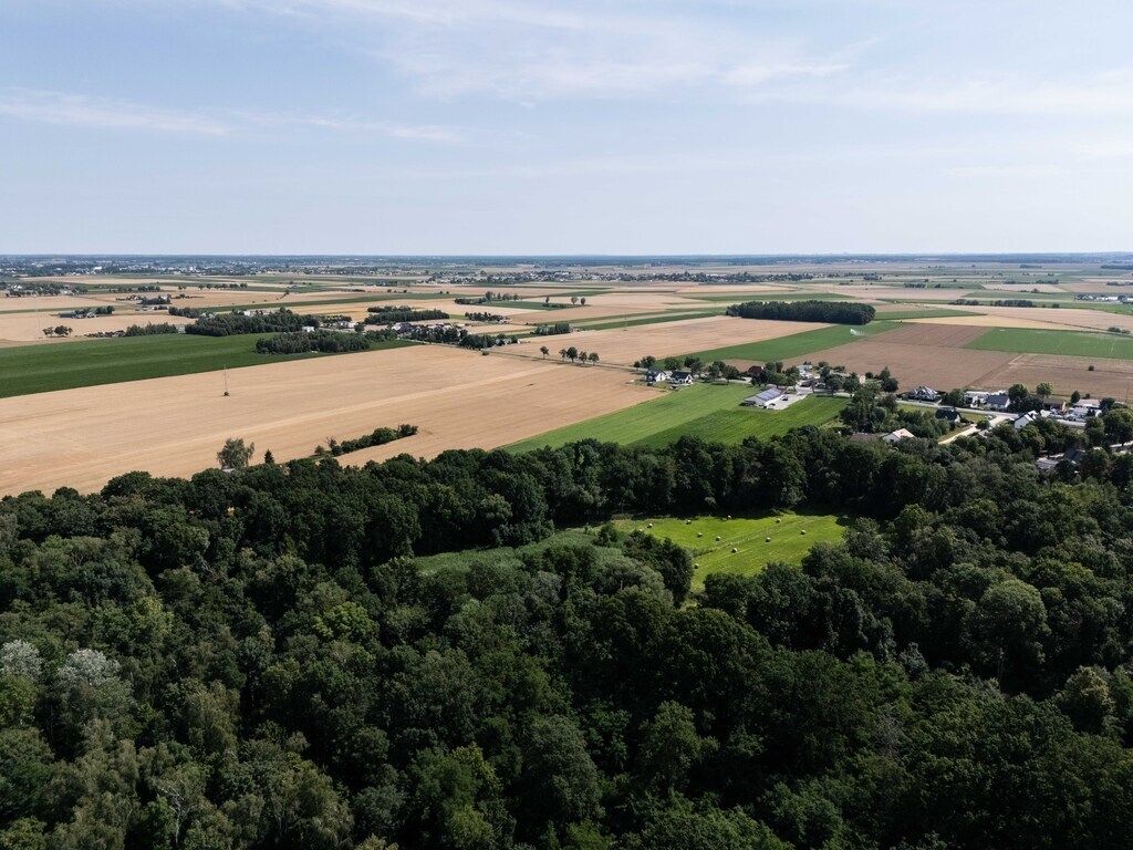 Działka inwestycyjna Szewce, ul. Bukowska. Zdjęcie 7