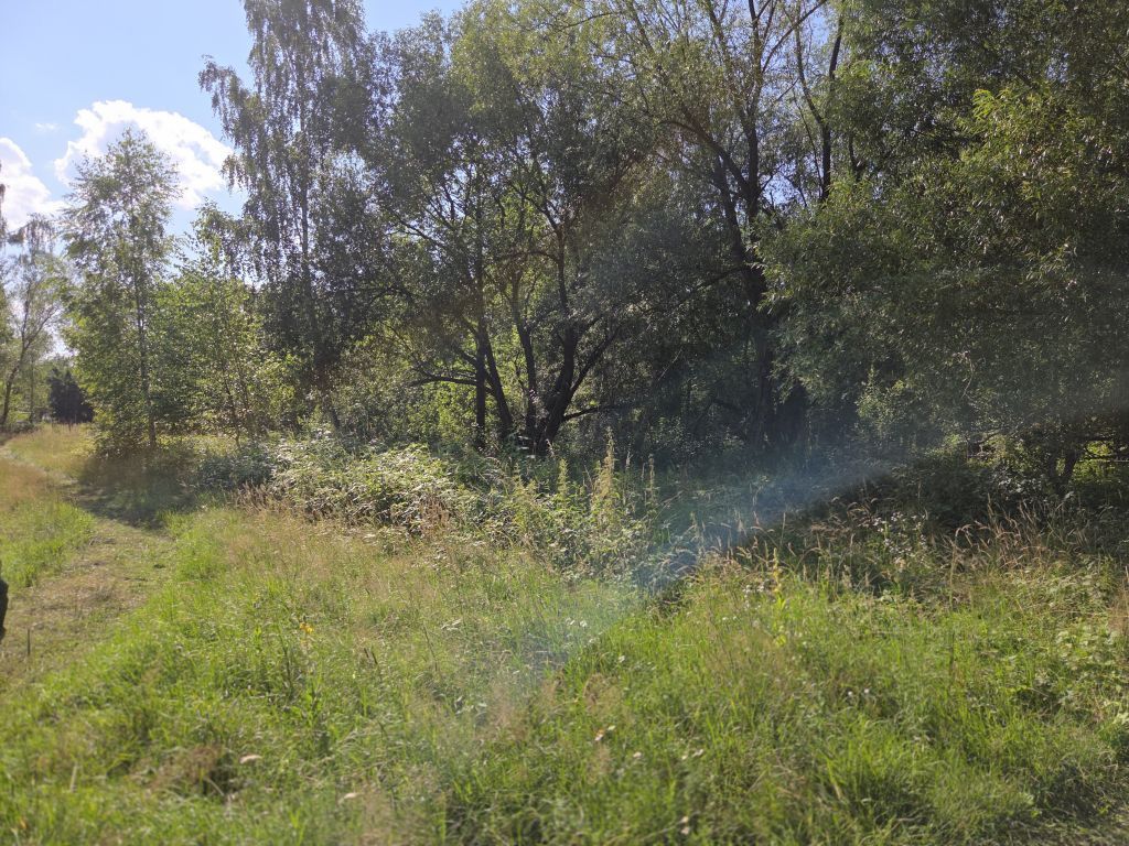 Działka rekreacyjna Szczechy Małe. Zdjęcie 2