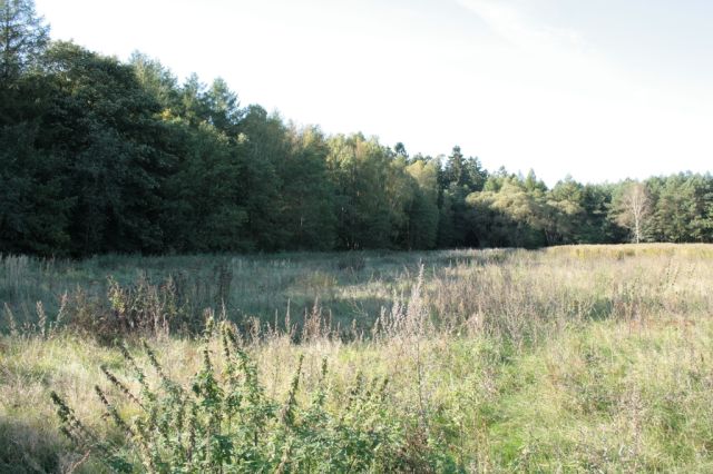 Działka rolna Krzepocin. Zdjęcie 2