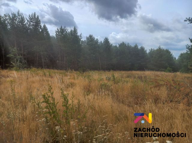 Działka rolna Świdnica. Zdjęcie 2