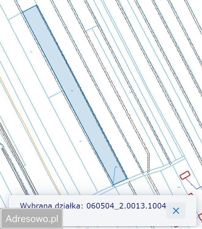 Działka budowlana Zdziłowice Pierwsze. Zdjęcie 4