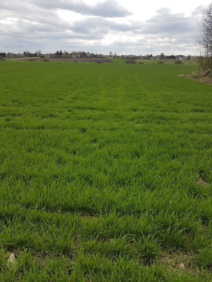 Działka budowlana Stabrów. Zdjęcie 6