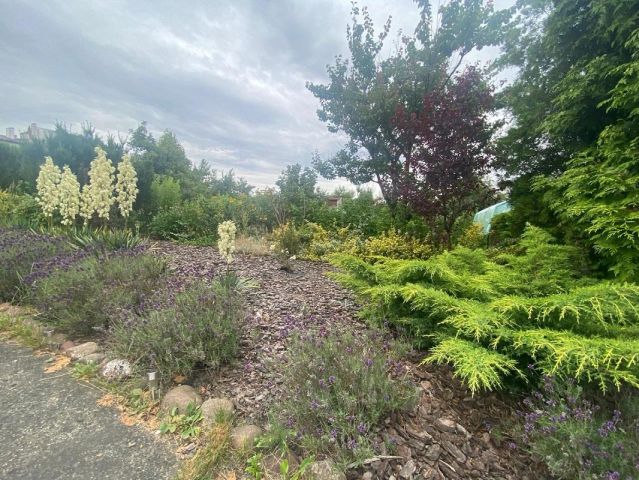 Działka rekreacyjna Kalisz, ul. Polna. Zdjęcie 12