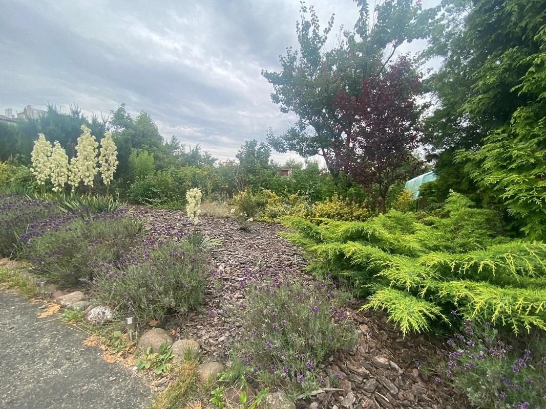 Działka rekreacyjna Kalisz, ul. Polna. Zdjęcie 12