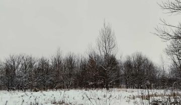 Działka rolno-budowlana Dąbrowa Tarnawacka