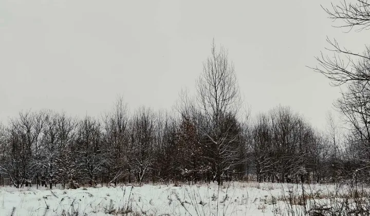 Działka rolno-budowlana Dąbrowa Tarnawacka