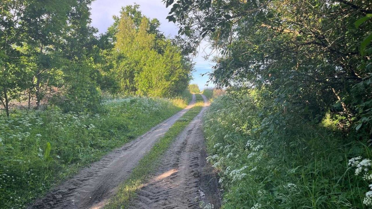 Działka siedliskowa Kierwiny. Zdjęcie 5