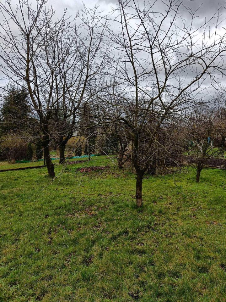 Działka rod Gierałtowice. Zdjęcie 6