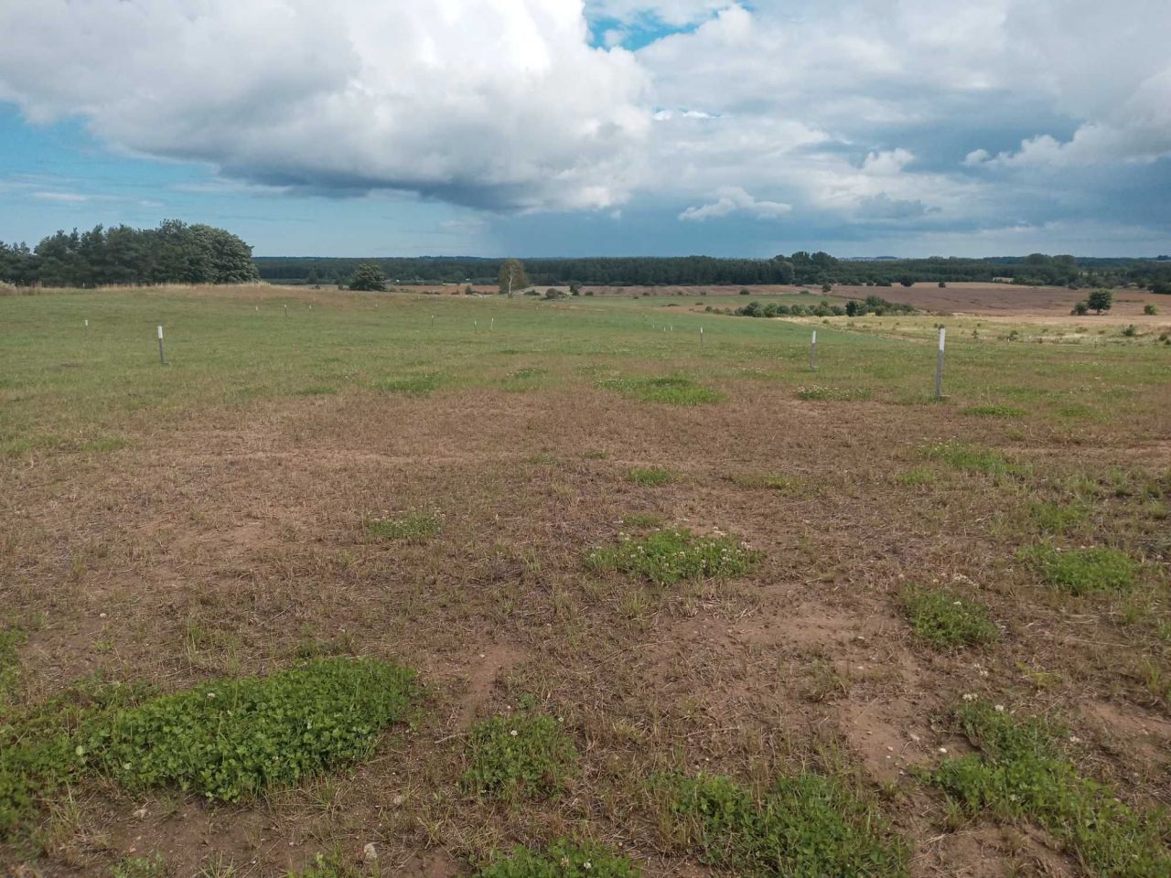 Działka rekreacyjna Sławoszyno. Zdjęcie 3