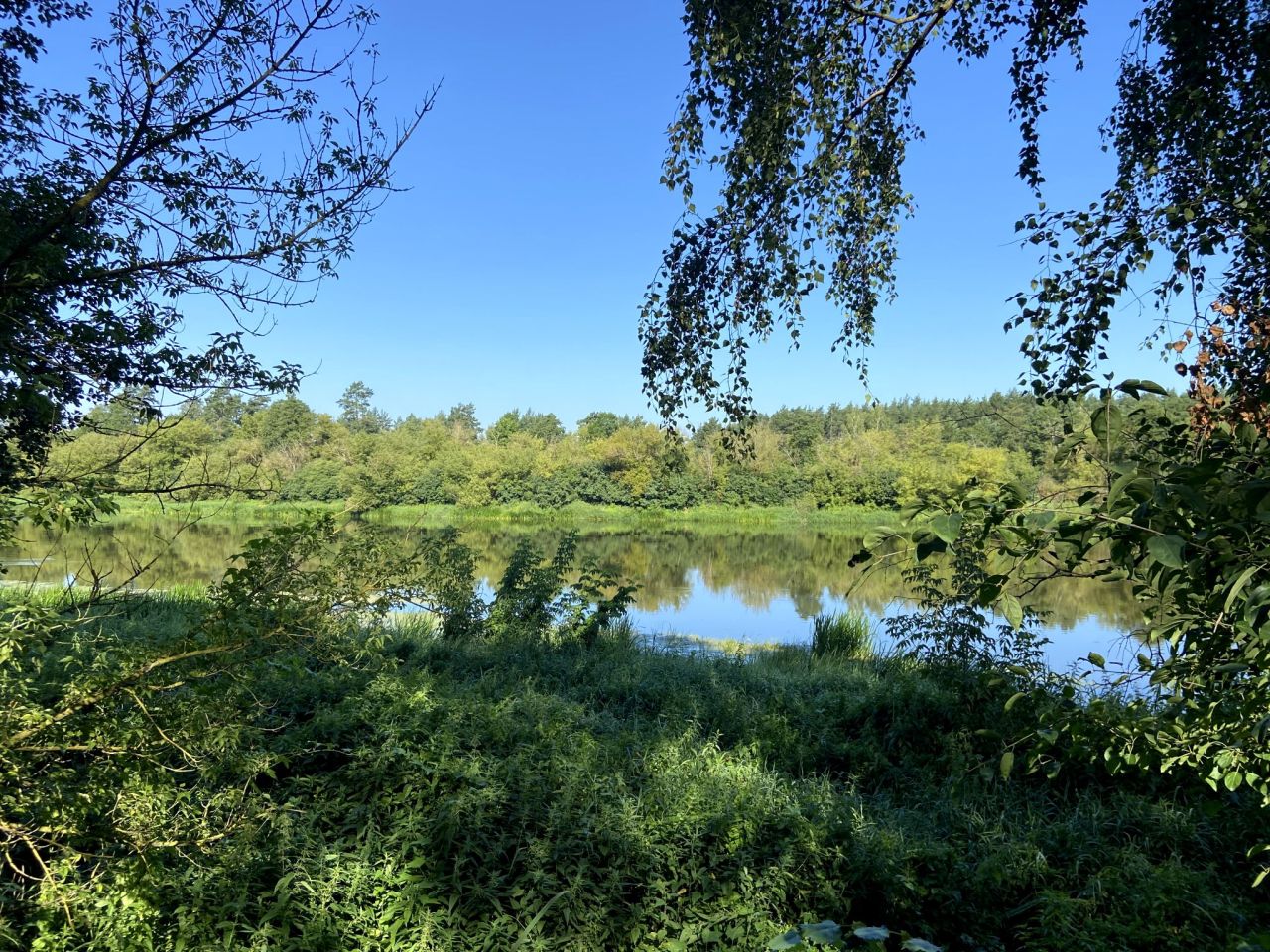 Działka leśna Kamianka. Zdjęcie 4