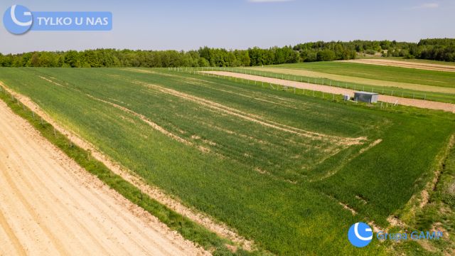 Działka Lipnica Dolna. Zdjęcie 10