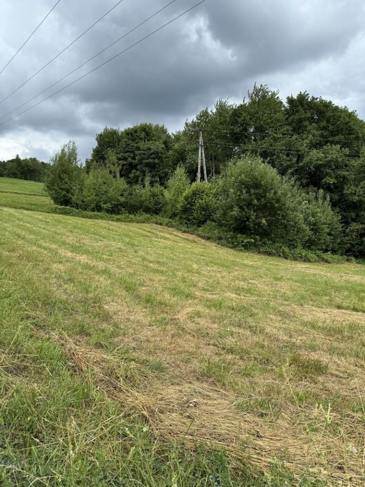 Działka rolna Szymbark Szklarka. Zdjęcie 8