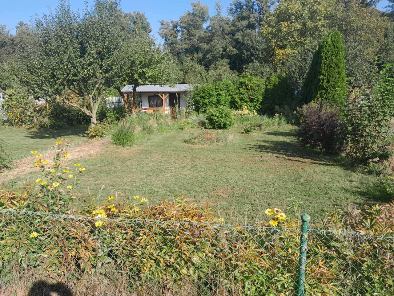 Działka rod Rydzyna. Zdjęcie 3