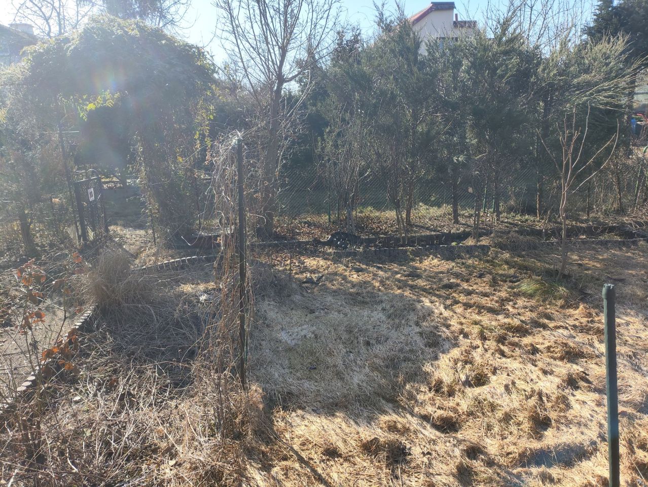 Działka rod Toruń Bielany, szosa Okrężna. Zdjęcie 5