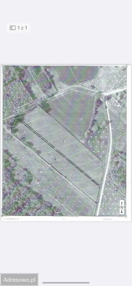 Działka rolna Wielichowo. Zdjęcie 1