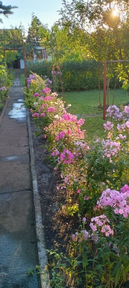 Działka rod Łódź Retkinia, ul. ks. Jerzego Popiełuszki. Zdjęcie 4