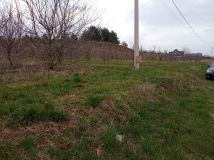 Działka budowlana Gnieszowice. Zdjęcie 1