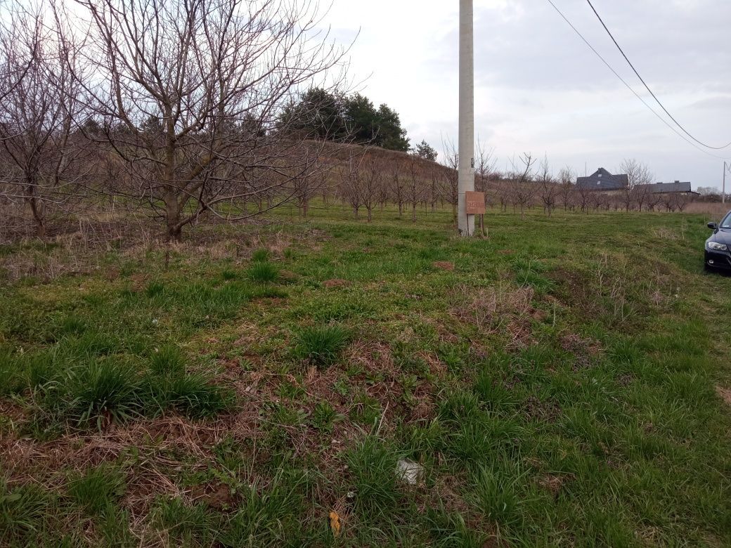 Działka budowlana Gnieszowice. Zdjęcie 2