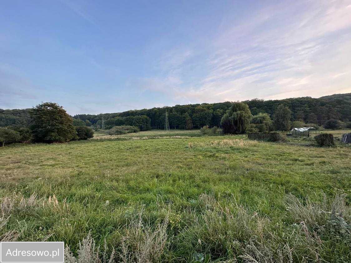 Działka rolna Wapnica. Zdjęcie 6