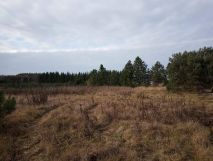 Działka budowlana Jasionna. Zdjęcie 4