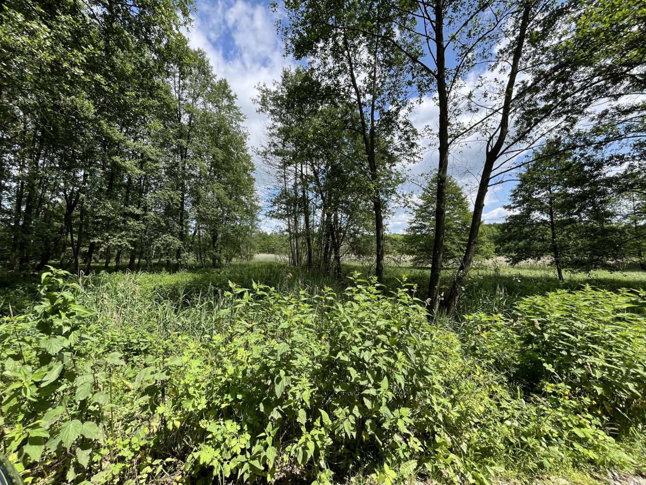 Działka rolna Siennica Nadolna. Zdjęcie 15