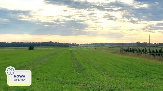 Działka rolna Piecki. Zdjęcie 1