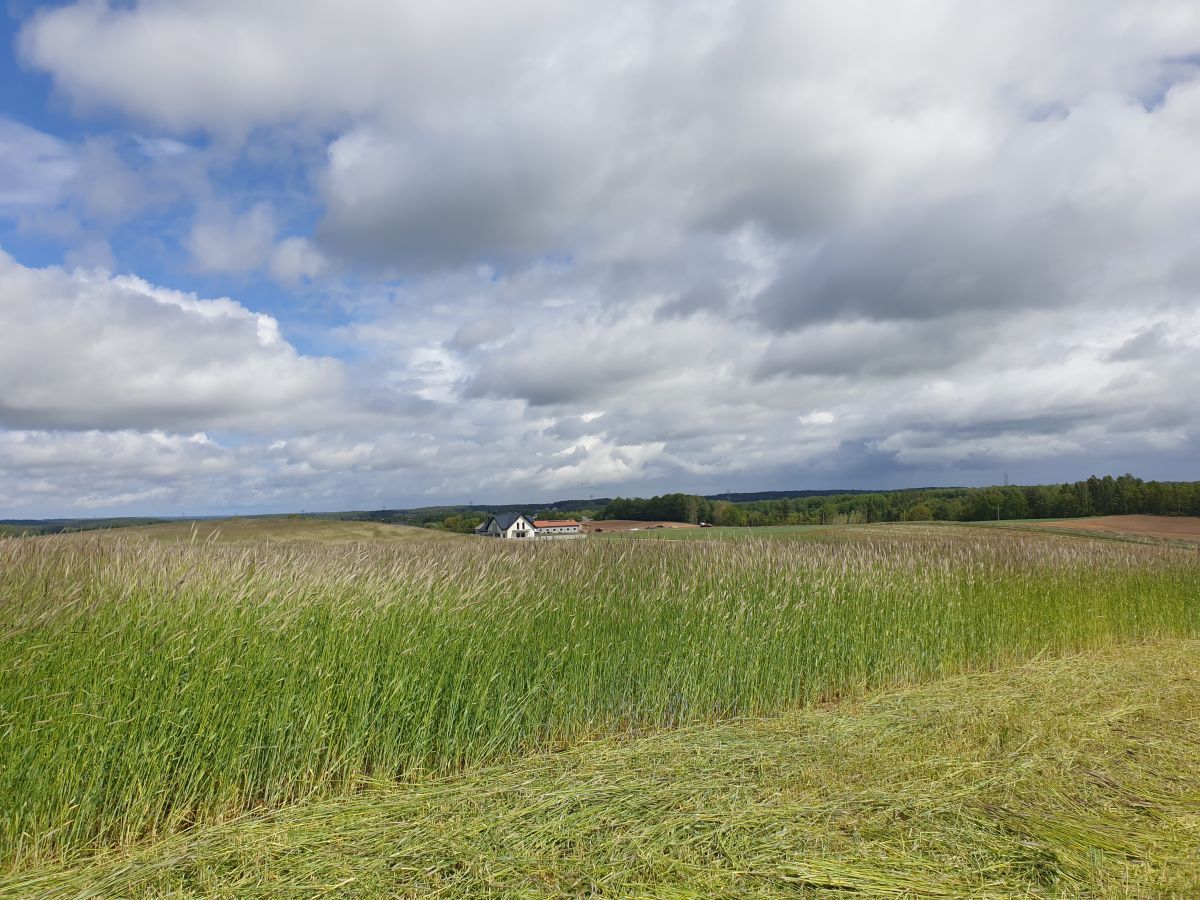 Działka budowlana Barłomino. Zdjęcie 13