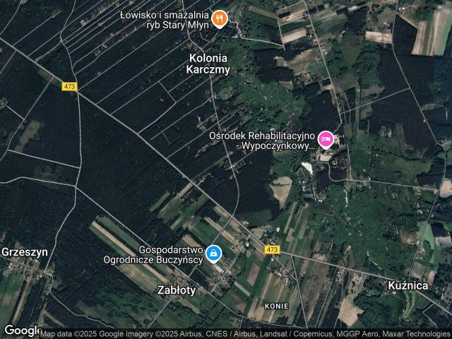 Działka budowlana Kolonia Karczmy, ul. Leśna. Zdjęcie 1