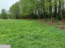 Działka rolna Popiołki. Zdjęcie 2