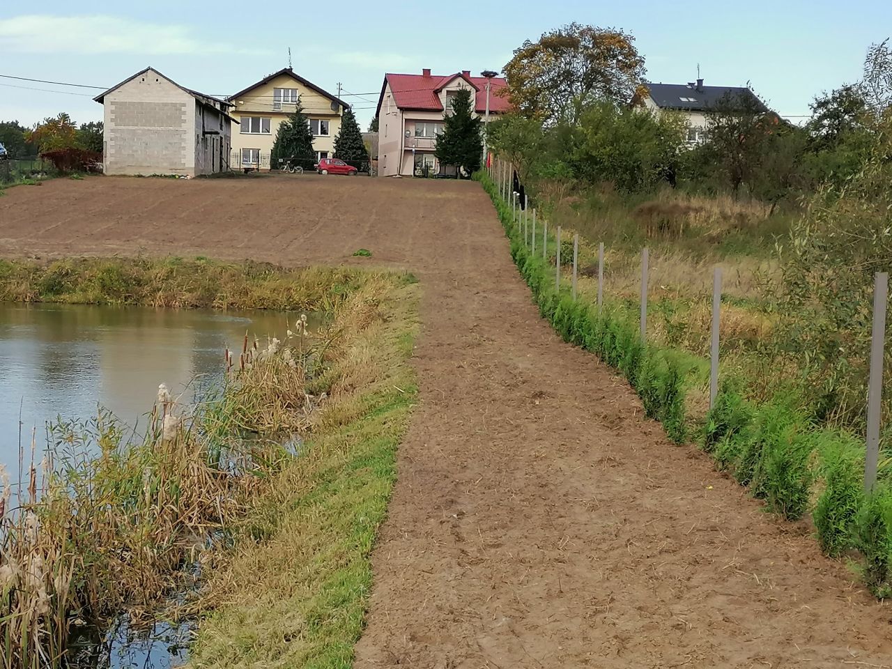 Działka siedliskowa Stara Sucha. Zdjęcie 13