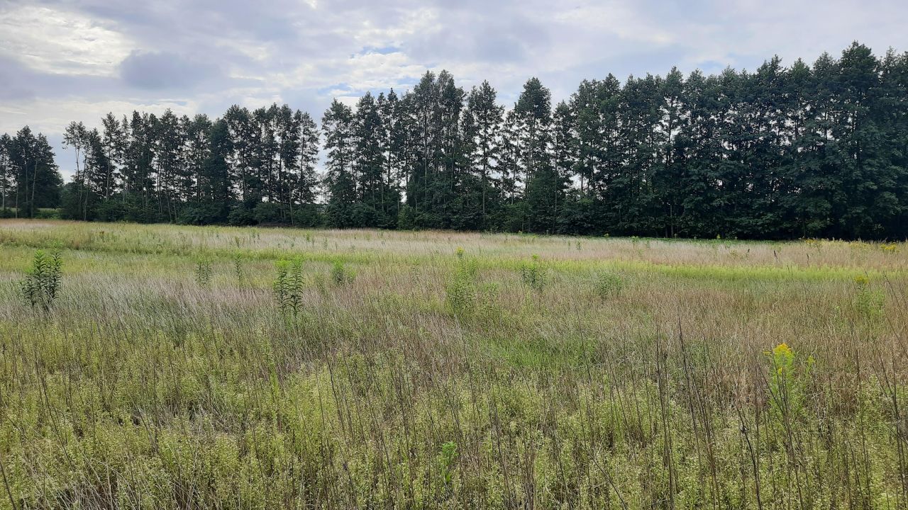 Działka budowlana Makowiska. Zdjęcie 8