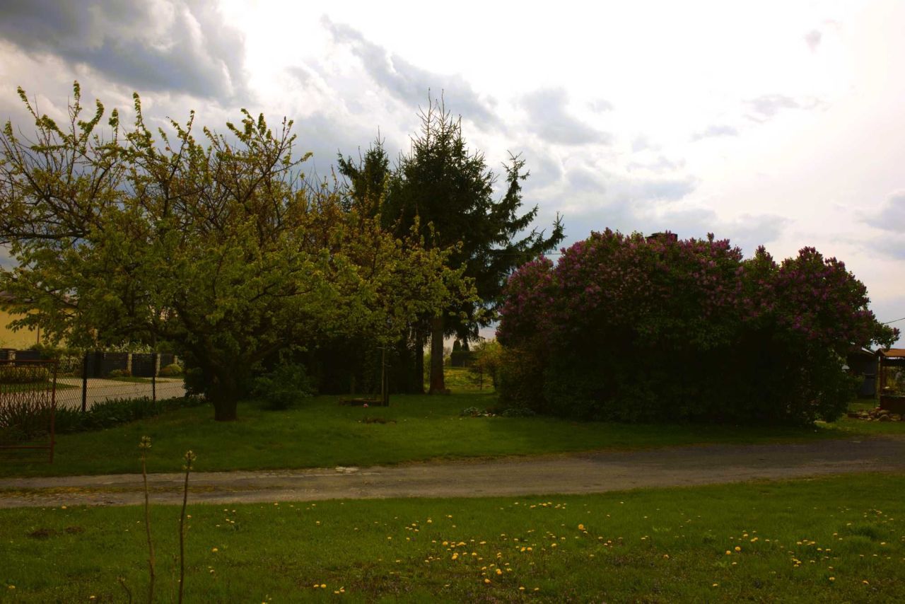 gospodarstwo Obrazów. Zdjęcie 8