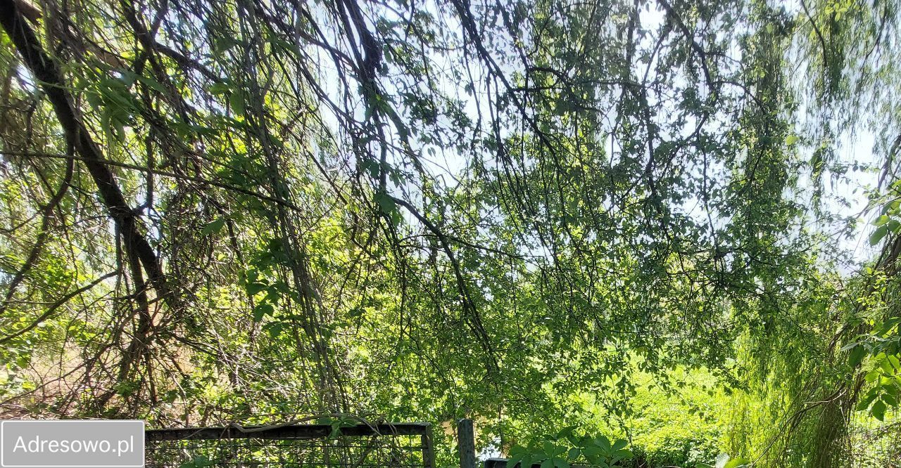 dom szeregowy, 6 pokoi Parczew, ul. Warszawska. Zdjęcie 13