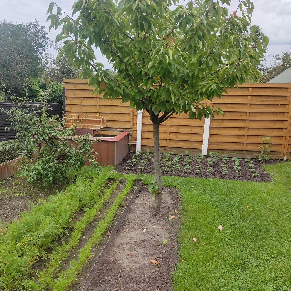 Działka rod Kołobrzeg, ul. Bolesława Krzywoustego. Zdjęcie 13