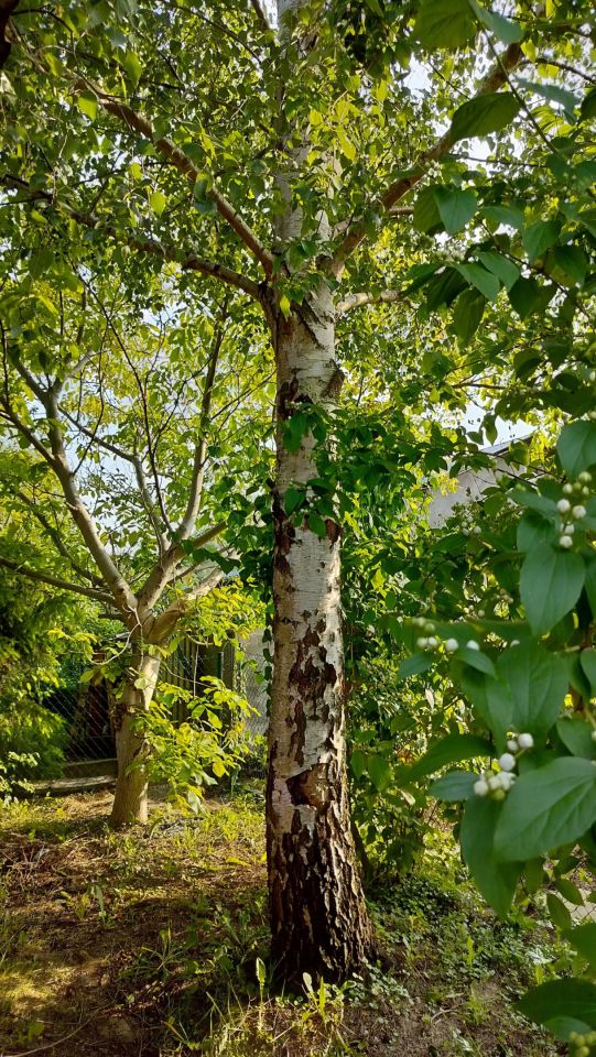 Działka rod Stalowa Wola. Zdjęcie 4