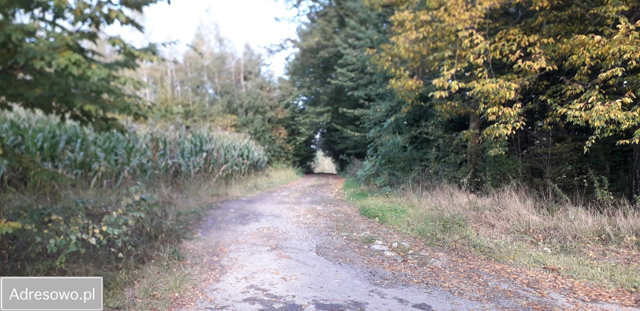 Działka budowlana Swoboda. Zdjęcie 5