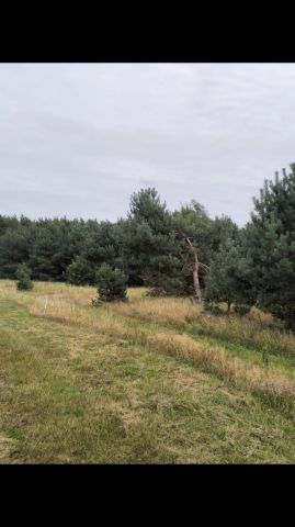 Działka budowlana Jarszewko. Zdjęcie 1