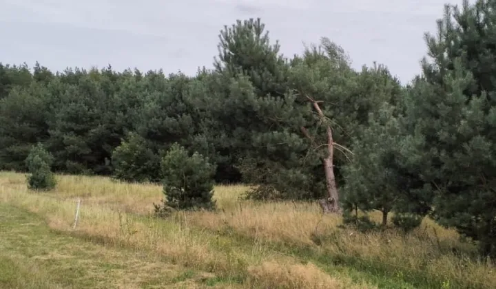 Działka budowlana Jarszewko