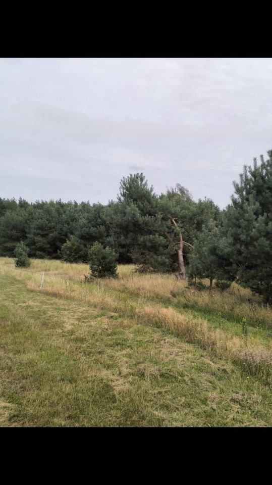 Działka budowlana Jarszewko. Zdjęcie 1