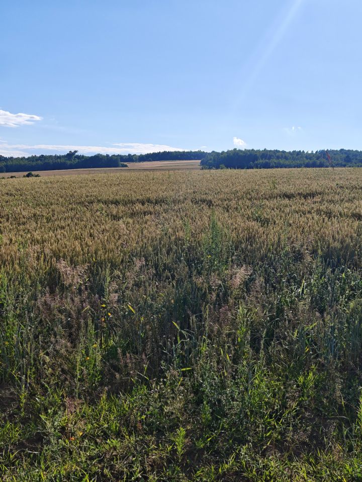 Działka rolno-budowlana Bogoniowice Bugaj. Zdjęcie 1