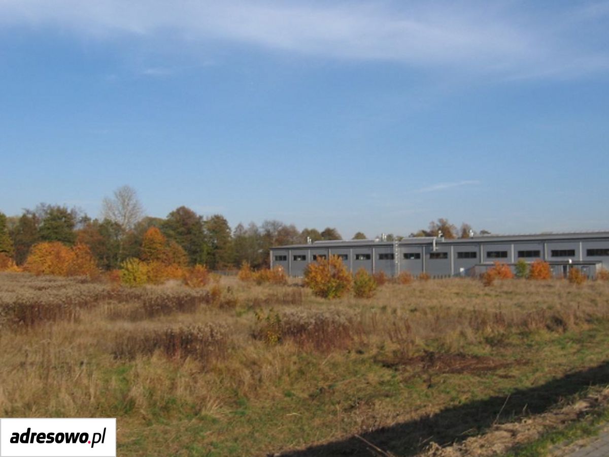 Działka inwestycyjna Pustków. Zdjęcie 8
