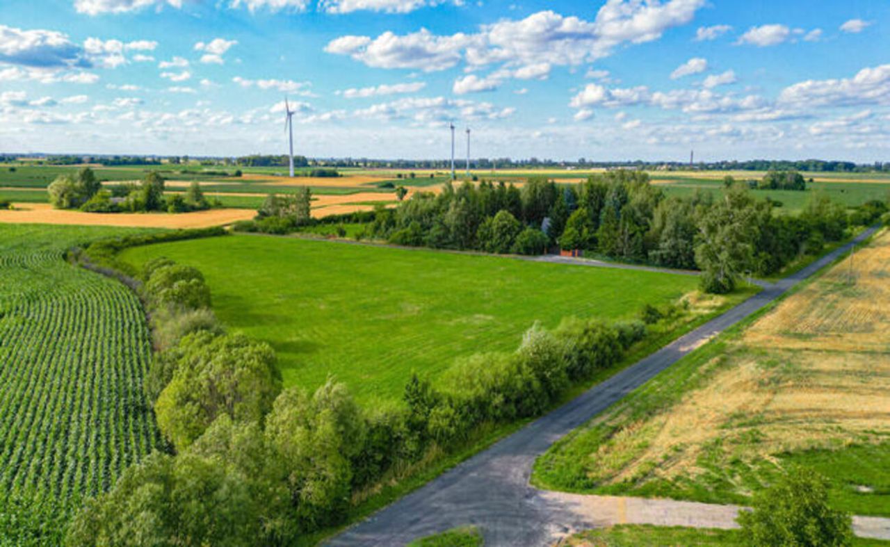 Działka budowlana Wola Miedniewska. Zdjęcie 2