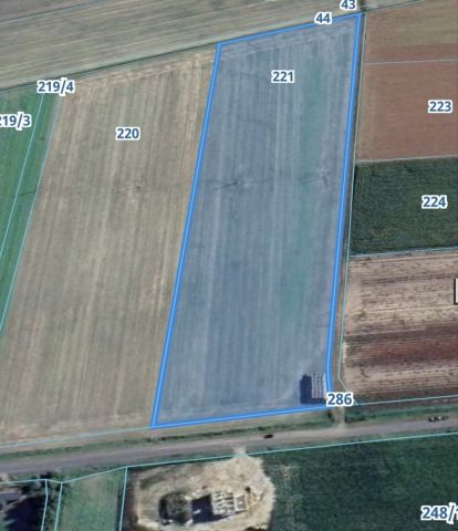 Działka budowlana Czernina. Zdjęcie 1